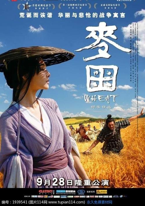 佛罗西诺内利齐尼奥机械工程文凭证书